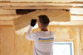 Best Insulation Removal  in Walsenburg, CO